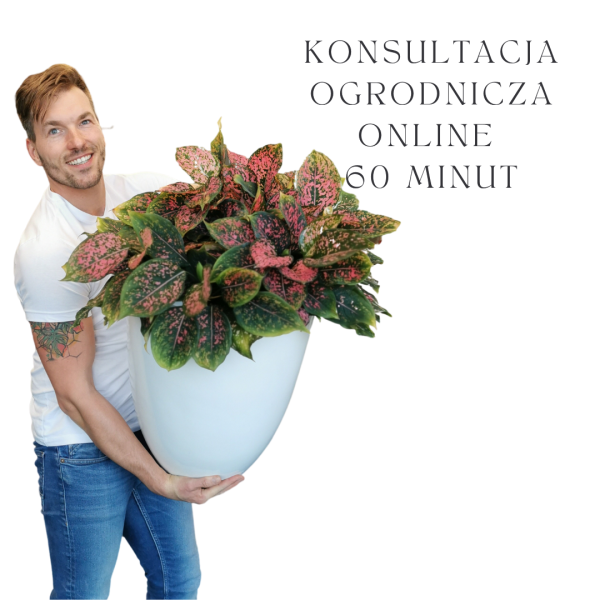 Sesja ogrodnicza online - 60 min