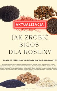 Jak zrobić bigos dla roślin (+aktualizacja)