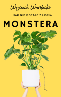 Jak nie dostać z liścia – Monstera