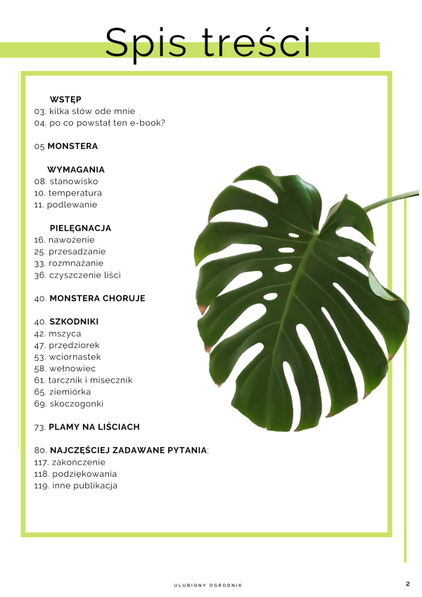 Jak nie dostać z liścia - Monstera - obrazek 2