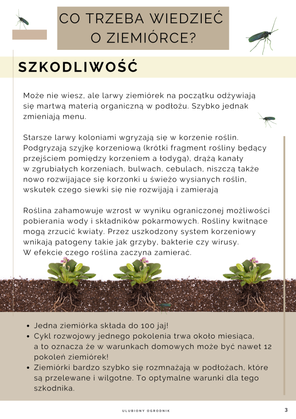 Jak zwalczyć ziemiórki? - obrazek 2