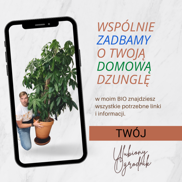 Nawożenie dolistne roślin zielonych - czym nawozić? - obrazek 2