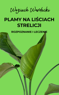 Plamy na liściach strelicji – rozpoznanie i leczenie