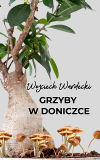 Grzyby w doniczce