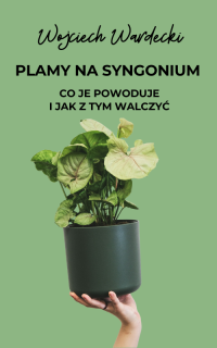 Plamy na liściach syngonium – co je powoduje i jak z tym walczyć?