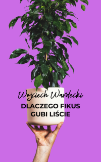 Dlaczego fikus gubi liście?